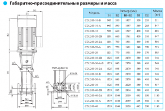 Насос CNP серии CDLF 200-10-B