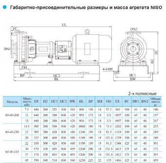 Центробежный консольный насос CNP серии NISO 65-40-315-22 (Чугун