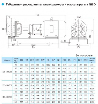 Центробежный консольный насос CNP серии NISO 125-100-315-132 (Чугун