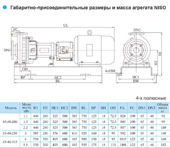 Центробежный консольный насос CNP серии NISO 65-40-200-2.2 (Чугун)